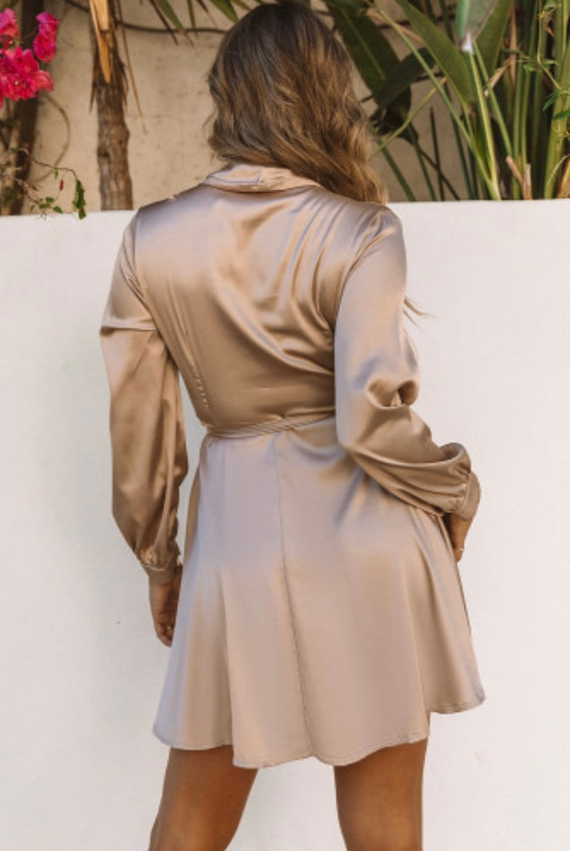 Ava Satin Dress